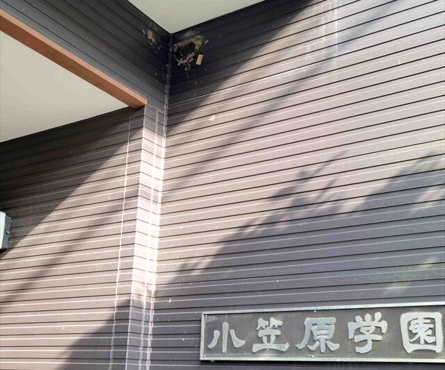 ツバメがやってきました!