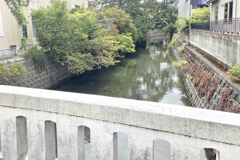 逗子　文学と風景をめぐる吟行会開催