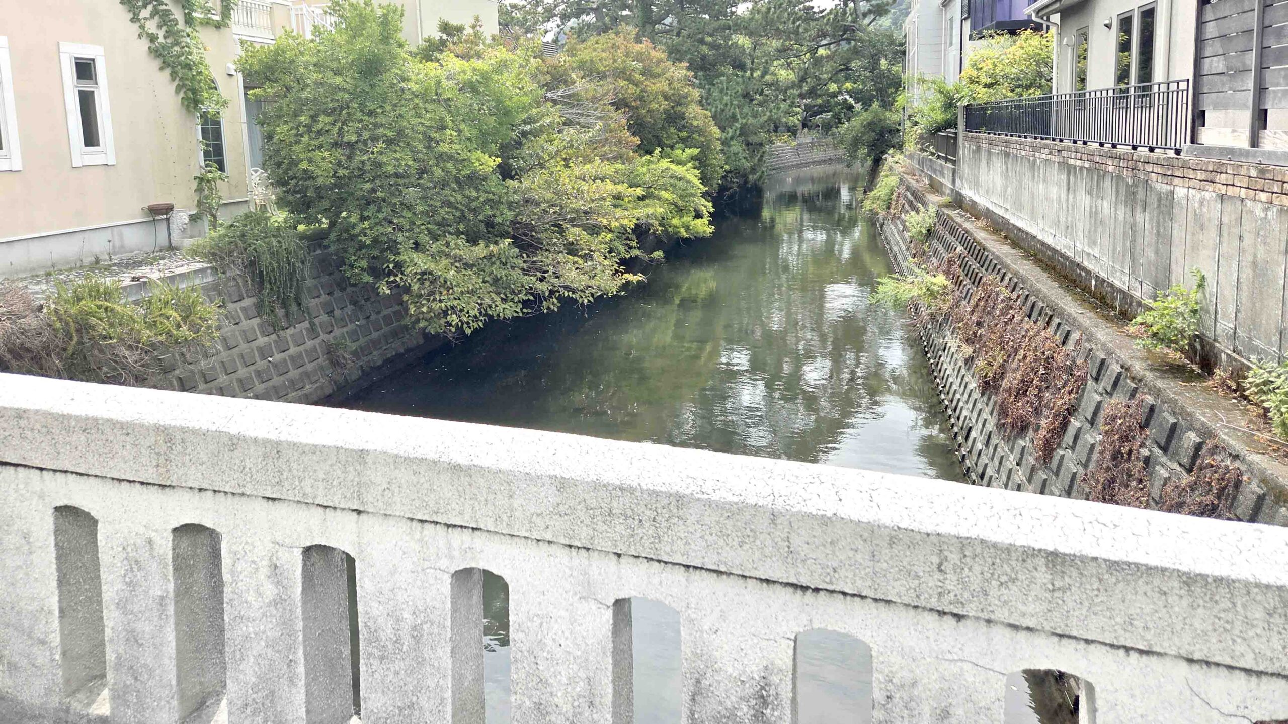 逗子　文学と風景をめぐる吟行会開催