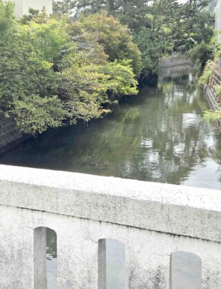 逗子 文学と風景をめぐる吟行会