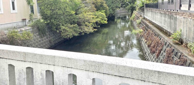 逗子 文学と風景をめぐる吟行会